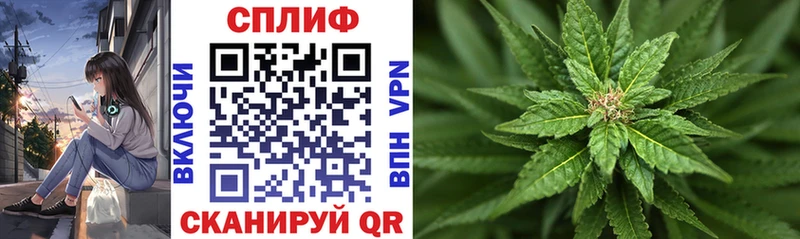 Названия наркотиков Николаевск КОКАИН  kraken как войти  Бошки Шишки  Меф 