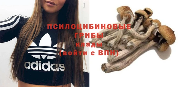 крисы Михайловск