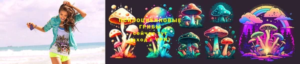 СК Медногорск