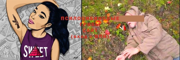 мдпв Михайлов