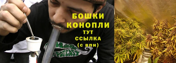 мдпв Михайлов
