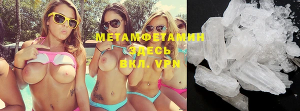 гидра Бердск