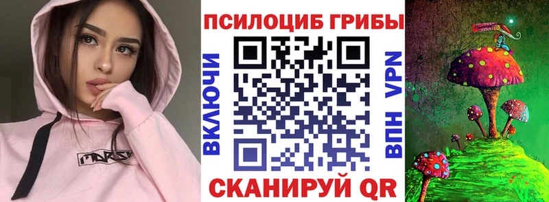 Псилоцибиновые грибы мицелий  Николаевск 